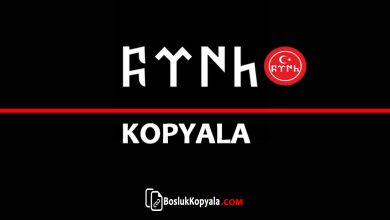 Göktürkçe Türk Yazısı