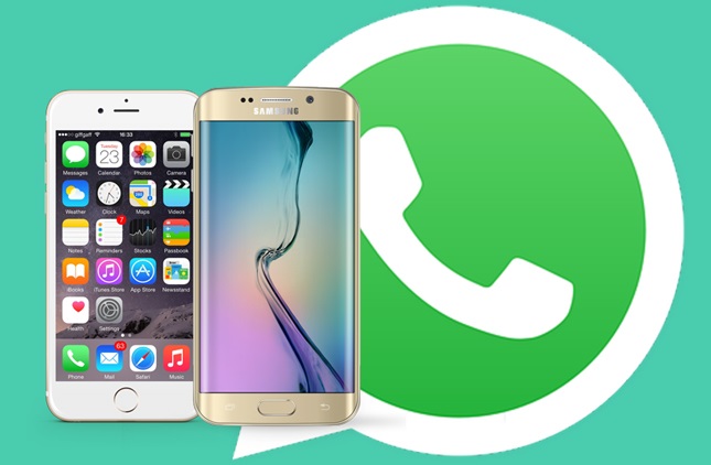 Rehberde Kayıtlı Kişi Whatsapp’ta Görünmüyor