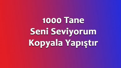 1000 Tane Seni Seviyorum