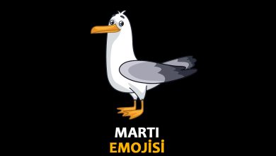 martı emojisi