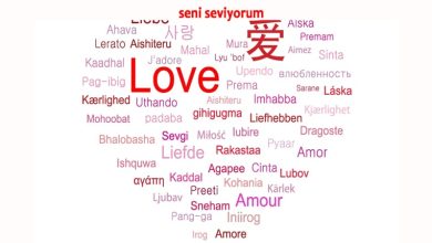 100 Dilde Seni Seviyorum