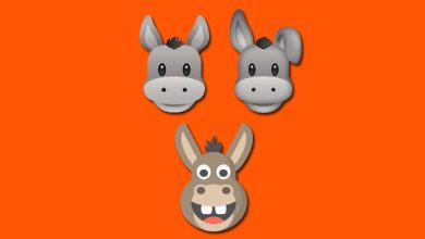 Eşek Emojisi Kopyala