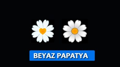 Beyaz Papatya Emojisi Kopyala