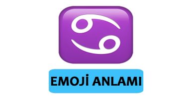 69 emoji anlamı