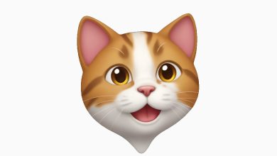 Kedi Emojisi Kopyala