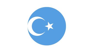 Doğu Türkistan Bayrağı Emoji Kopyala