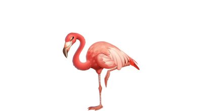 Flamingo Emojisi Kopyala