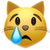 Ağlayan kedi emojisi