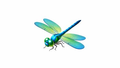 Yusufçuk Emojisi kopyala