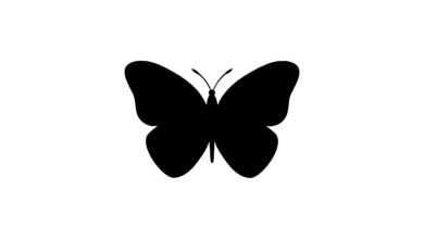 Siyah Kelebek Emojisi Kopyala