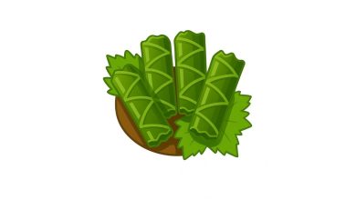 Yaprak Sarma Emojisi Kopyala