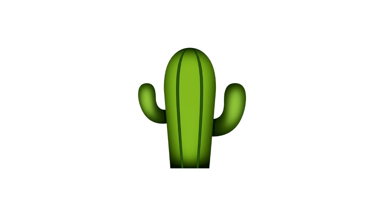 Kaktüs Emojisi Kopyala