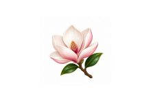 manolya emojisi