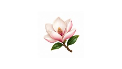 manolya emojisi